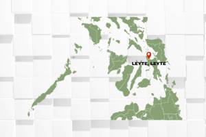 Leyte village chief bet hurt in ambush