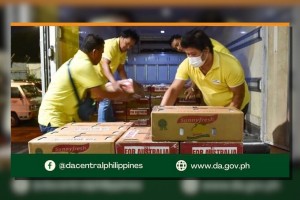 PH revives fresh mango exports to Australia