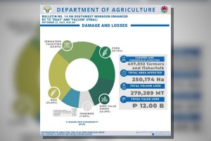 DA: Damage to agri due to 'habagat,' 2 typhoons reaches P12-B