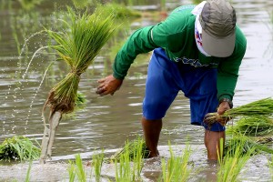 House bill creating agri pension fund for elderly farmers filed