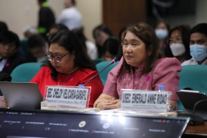 Senate sub-panel OKs PCO's 2024 proposed budget