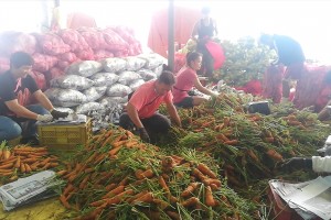 DA-CAR reports P11.9-M damage from Carina, stable veggie prices