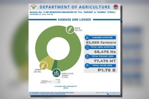 DA: Agri losses due to Goring, Hanna, 'habagat' reach P1.76-B