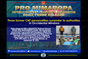 3 communist rebels yield in Occidental Mindoro