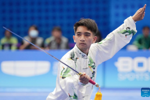 Wushu produces another Asiad bronze for PH