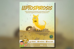 Leptospirosis cases in Ilocos Region up by 106% with 33 deaths