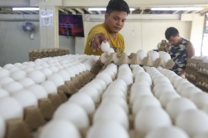 Egg supply stable but slight price hike seen - DA