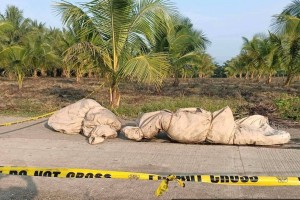 2 men from Davao found dead in Maguindanao Sur