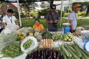 Farmer-entrepreneurs take home P1.2-M sales in P2C bazaar