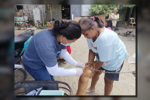 Ilocos Norte LGUs urged to help eradicate rabies