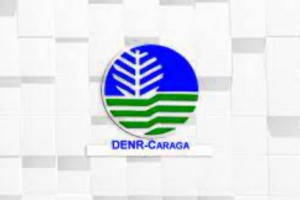 DENR-13 eyes suspension of another PACBRMA in Siargao