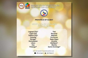 Albay's peace and order councils rated 100% functional 