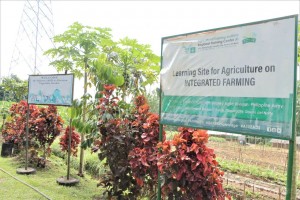 Army demo farm promotes food production, self-sufficiency