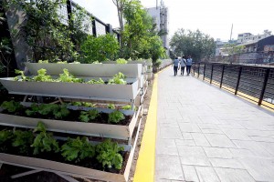 MMDA upgrades 'model' linear park in Makati