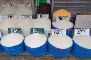  Lower rice prices in Negros Oriental seen as harvest season starts 