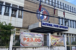 More rice farmers in Bicol selling palay to NFA