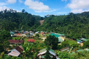 Leyte village eyed as future release site for Philippine eagle