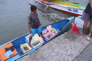 DA: Sarangani quake damage to fisheries equipment tops P2-M