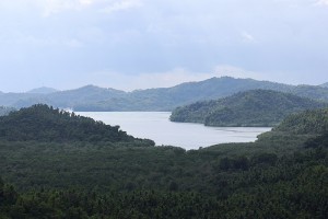 BFAR detects presence of red tide in another Samar bay