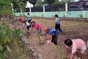 Ilocos Norte schools embrace urban gardening