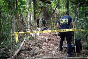 2 NPA fighters killed in southern Negros encounter