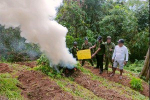 Authorities seize P2.9-M shabu, marijuana in La Union, Pangasinan