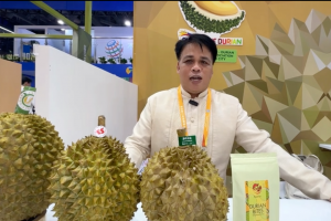 6th China int'l import expo opens Chinese market to Pinoy exporters