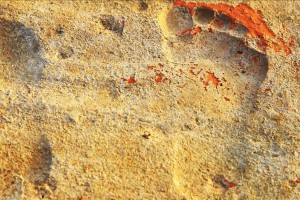 1.9K-yr-old footprints found in ‘City of Gladiators’