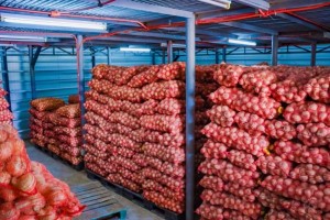 BOC: Arrest of big time onion smuggler a 'huge step'