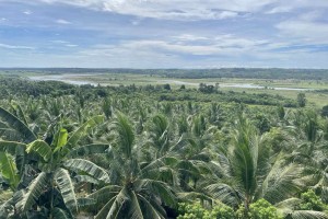 Ilocos town hosts coconut processing facility