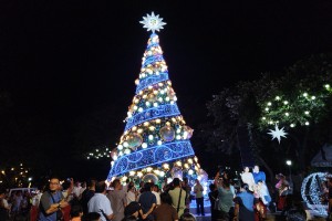 Christmas tree for a cause to bring light to remote villages