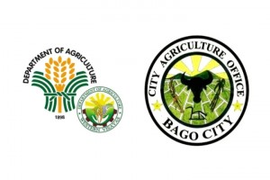 Bago City farmers get P1-M trading capital fund from DA