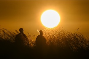 Climate change surged ‘alarmingly' in 2011-2020: UN