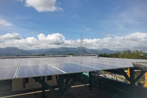 Coop saves 40% in energy use after shifting to solar power