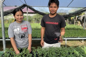 Partners leave jobs to start profitable seedling production