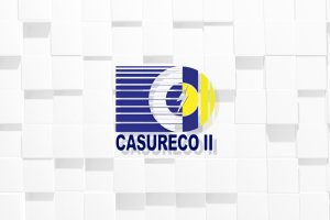 CTA: CamSur province can't impose franchise tax on power coop