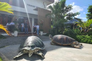 Cebu’s dive capital's tourist rest area to boost visitors' experience