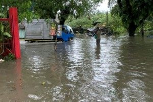 Leptospirosis cases double in Bacolod City, 16 deaths recorded