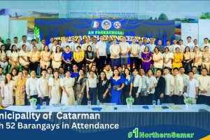 Nearly 35K village execs in E. Visayas to undergo training