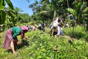 Ilocos Norte retains 205 rangers to protect forests, watersheds