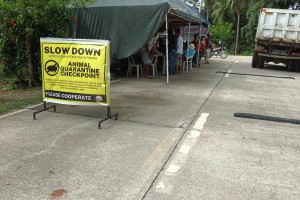 Romblon town completes cash aid for ASF-affected hog raisers