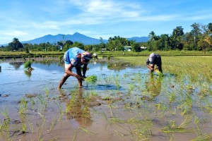 TESDA allots P700-M to train over 50K farmers, dependents