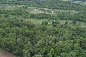 Bacolod City to develop 8.7-hectare tree, eco park in rural village