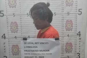 2 NPA rebels nabbed, surrender in central Negros