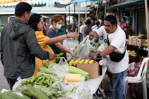 PH farm sector grows faster at 1.2% in 2023 – DA chief