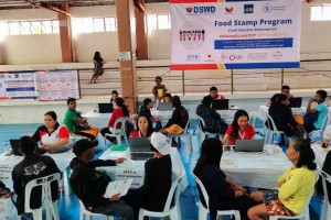 195 families in Camarines Sur to benefit from gov't food stamp program