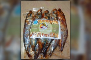 Bicol fishers earn add'l income from making 'tinapa', raising tilapia