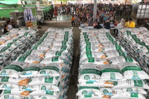 166K rice farmers in W. Visayas get certified seeds for dry season