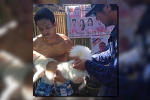 Legazpi City now rabies-free