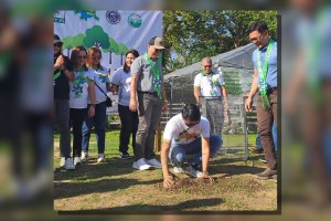 Kidapawan City marks 1M trees planted in 2 years